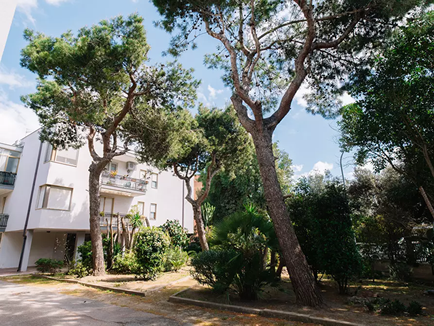 Immagine 29 di Quadrilocale in vendita  in Via Cataldo Antonio Mannarino 4 a Lecce