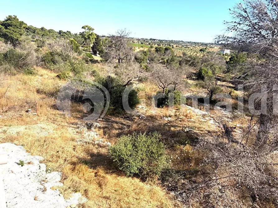Immagine 7 di Rustico / casale in vendita  in Strada Provinciale 194 a Sannicola