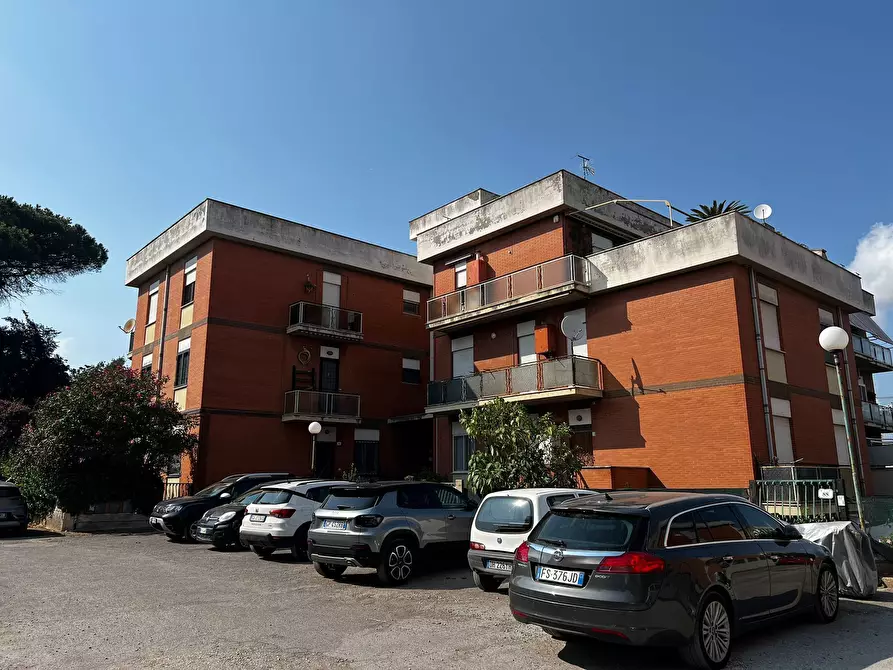 Immagine 19 di Quadrilocale in vendita  in via san giacomo 92 a Nettuno