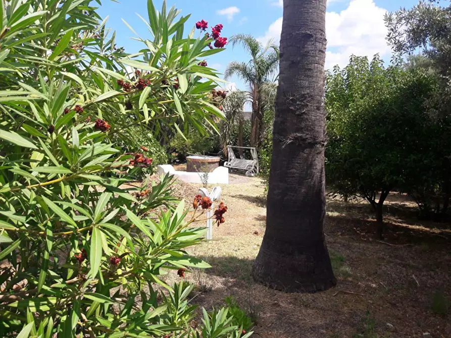 Immagine 19 di Casa indipendente in vendita  in via Umberto I 1 a Santa Marina Salina