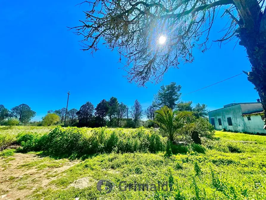 Immagine 23 di Magazzino in vendita  in Via Solano Li Belli 47 a Lequile