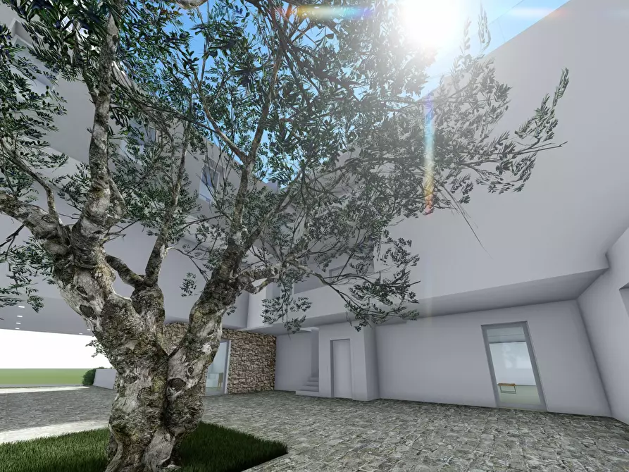 Immagine 51 di Trilocale in vendita  in Via Ugo Foscolo 34 a Castrignano Del Capo