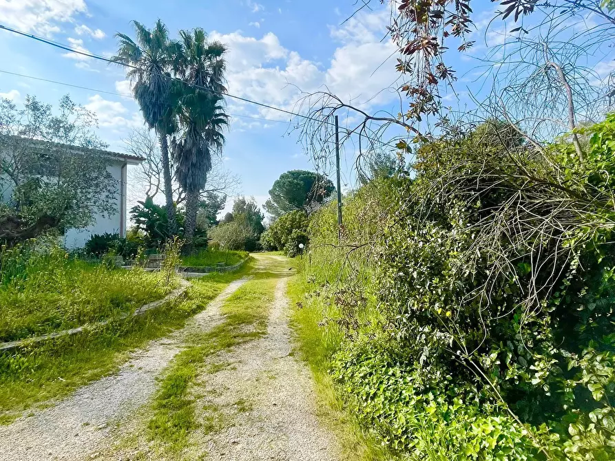 Immagine 27 di Villa in vendita  in strada provinciale 39 a Maglie