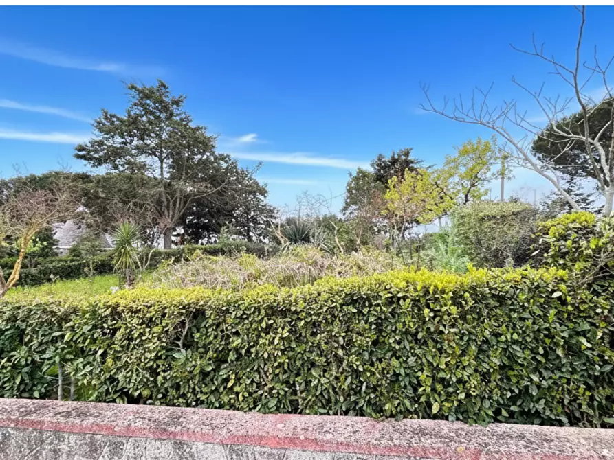 Immagine 12 di Villa in vendita  in Strada Paretone 201 a Martina Franca