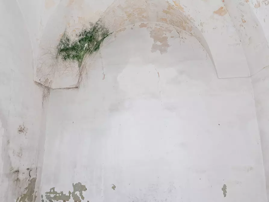 Immagine 63 di Casa indipendente in vendita  in Via Vittorio Emanuele II 14 a San Cesario Di Lecce