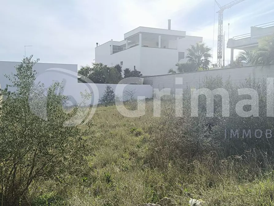 Immagine 6 di Terreno edificabile in vendita  in via enaudi a Collepasso