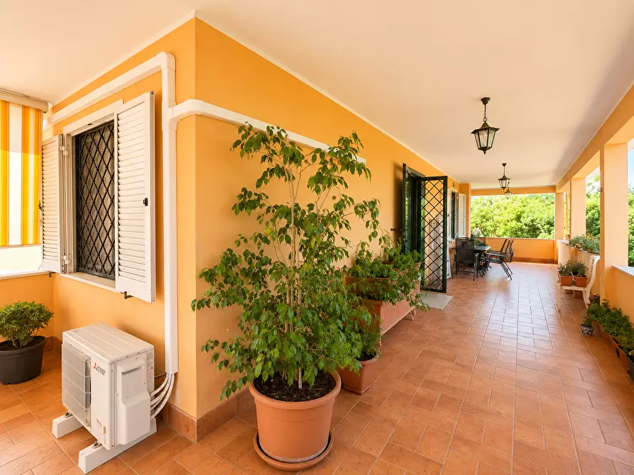 Immagine 3 di Villa in vendita  in Via Mirabella 60 a Nettuno