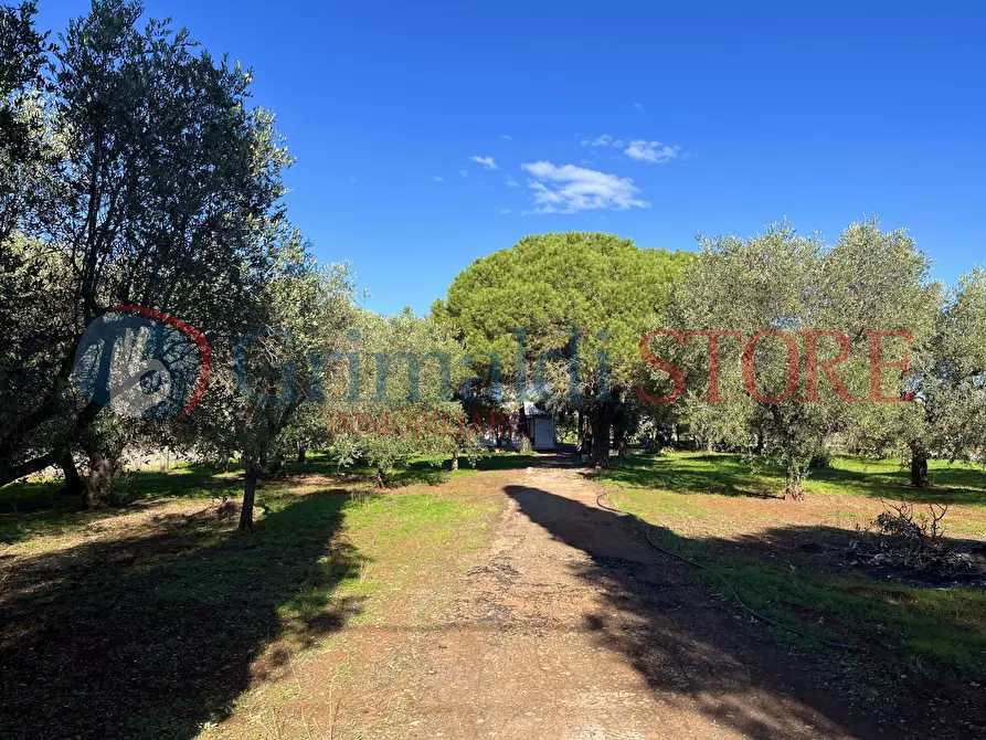 Immagine 16 di Rustico / casale in vendita  a San Vito Dei Normanni