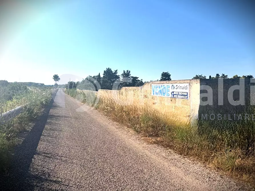 Immagine 1 di Terreno agricolo in vendita  in Strada Statale 274 a Gallipoli