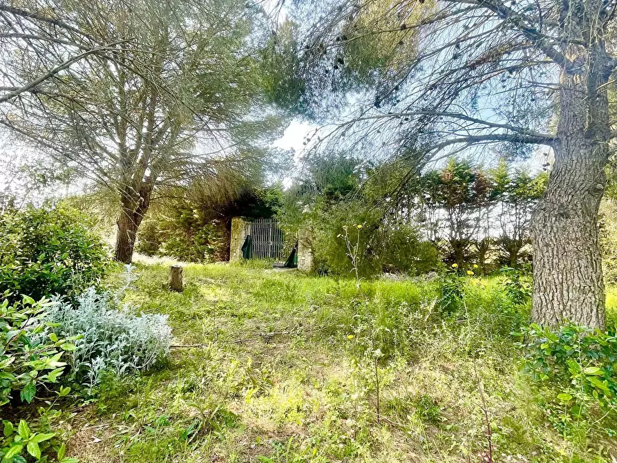 Immagine 71 di Villa in vendita  in strada provinciale 39 a Maglie