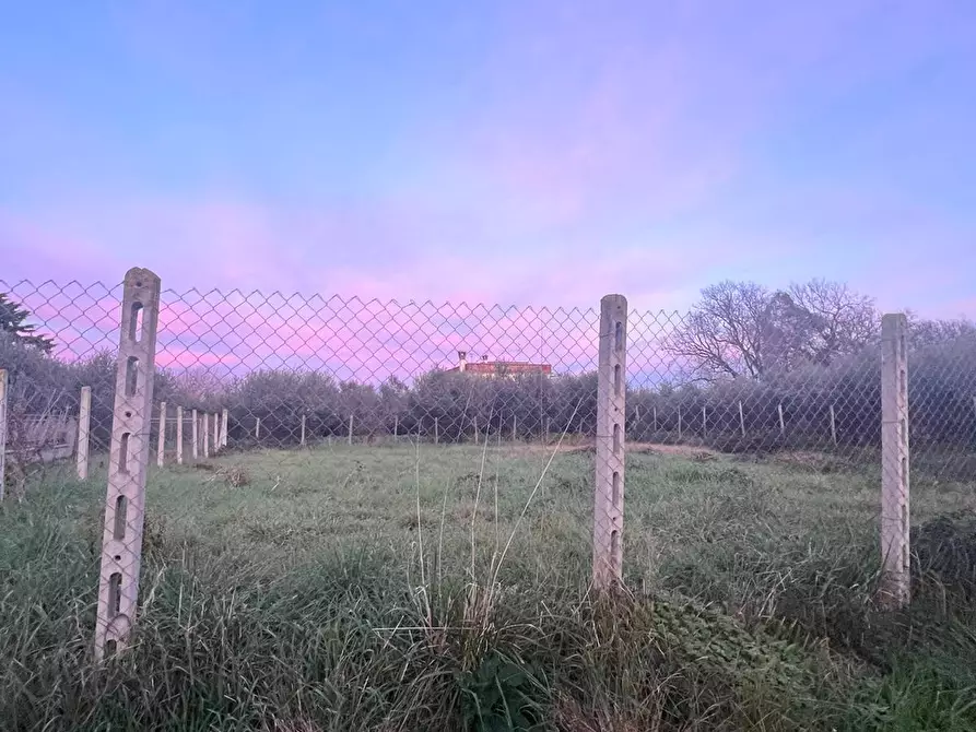 Immagine 6 di Terreno edificabile in vendita  in Via Cellere 1 a Nettuno