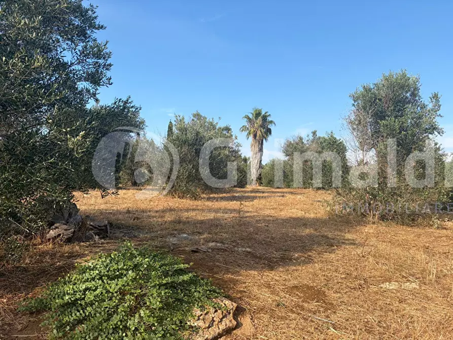 Immagine 26 di Terreno agricolo in vendita  in Contrada Coline a Alezio