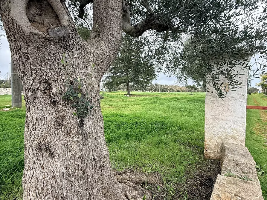 Immagine 9 di Casa indipendente in vendita  in contrada sorbole a Ostuni