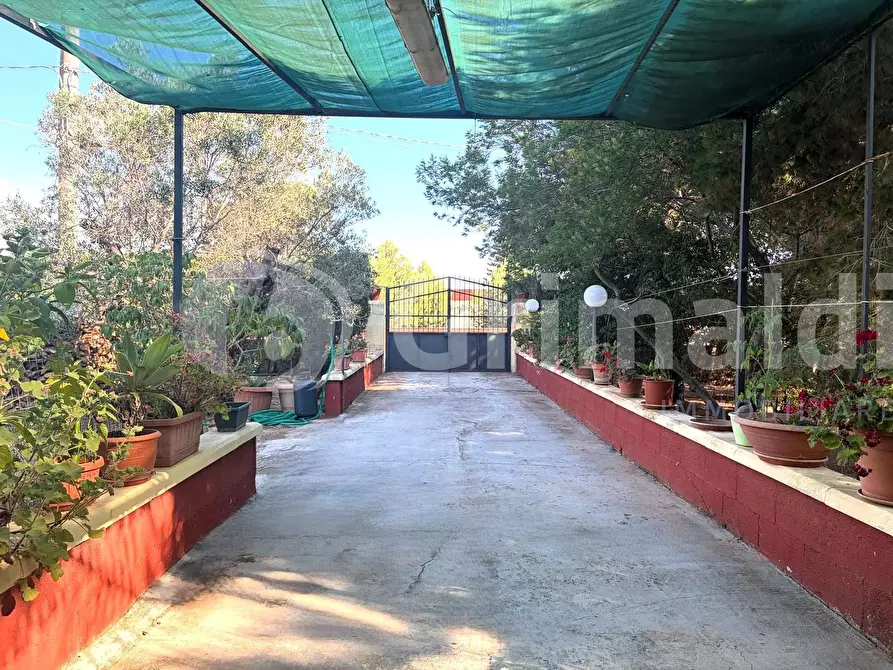 Immagine 49 di Casa indipendente in vendita  in Contrada Curlo a Sannicola