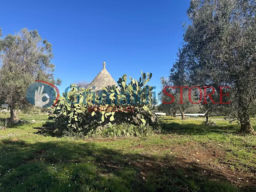 Immagine 25 di Casa indipendente in vendita  a Carovigno