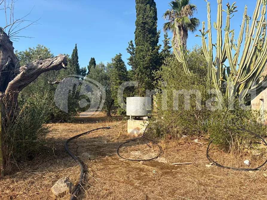Immagine 28 di Terreno agricolo in vendita  in Contrada Coline a Alezio