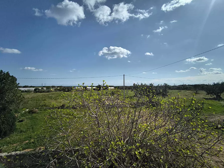 Immagine 36 di Villa in vendita  in Viale Aldo Moro a Monopoli