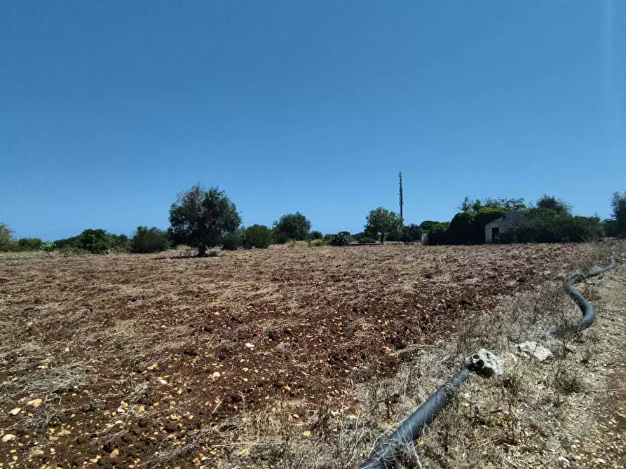 Immagine 10 di Rustico / casale in vendita  in Contrada Marinesca a Polignano A Mare
