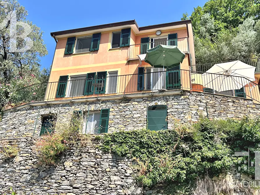 Immagine 34 di Casa indipendente in vendita  in Via Pietrafitta 1 a Avegno