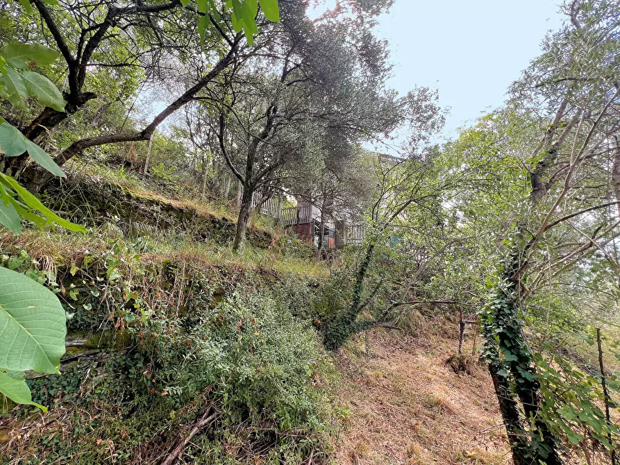 Immagine 31 di Casa indipendente in vendita  in Via Cappelletta 37 a Avegno