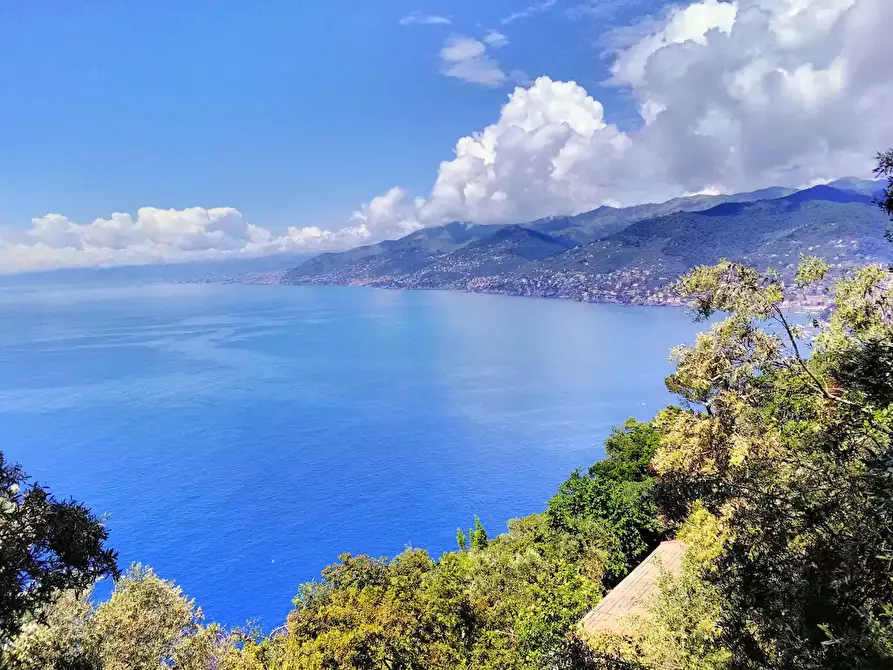 Immagine 9 di Porzione di casa in vendita  a Camogli