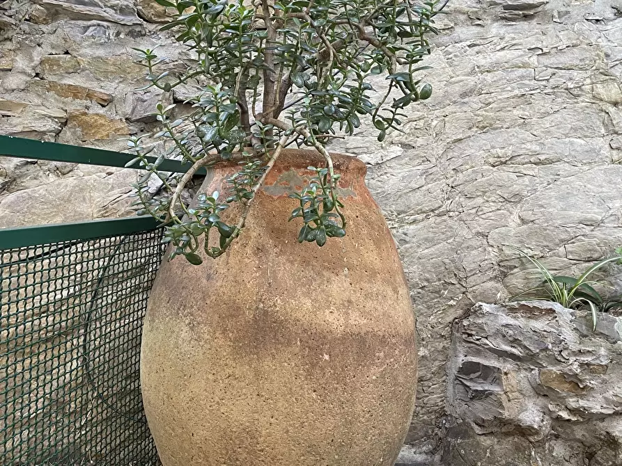 Immagine 71 di Attico in vendita  in Via Alla Torre 2 a Sori