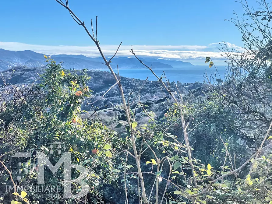 Immagine 2 di Bilocale in vendita  in Via Chiesa Vecchia di Bana 18/A a Camogli