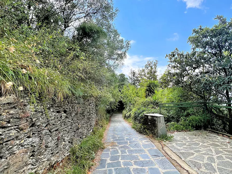 Immagine 28 di Casa indipendente in vendita  in Via Cappelletta 37 a Avegno