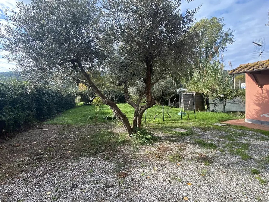 Immagine 2 di Casa indipendente in vendita  a Ameglia