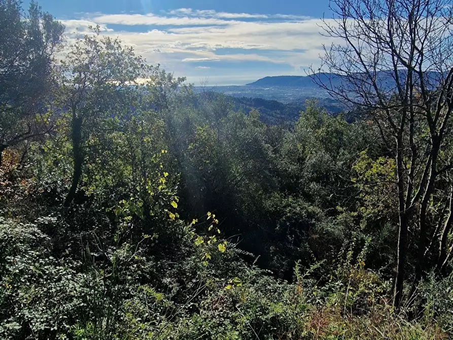 Immagine 19 di Rustico / casale in vendita  a Sarzana