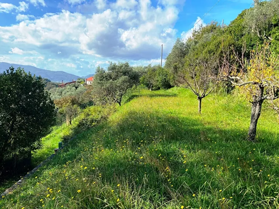 Immagine 4 di Casa indipendente in vendita  a Sarzana