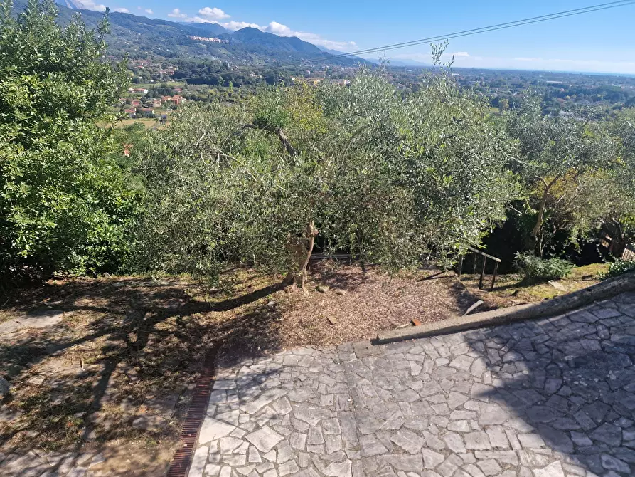 Immagine 3 di Quadrilocale in affitto  in VIA FORTINO a Sarzana