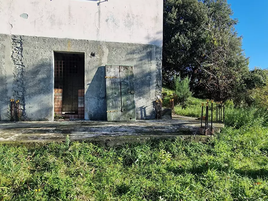 Immagine 20 di Rustico / casale in vendita  a Sarzana