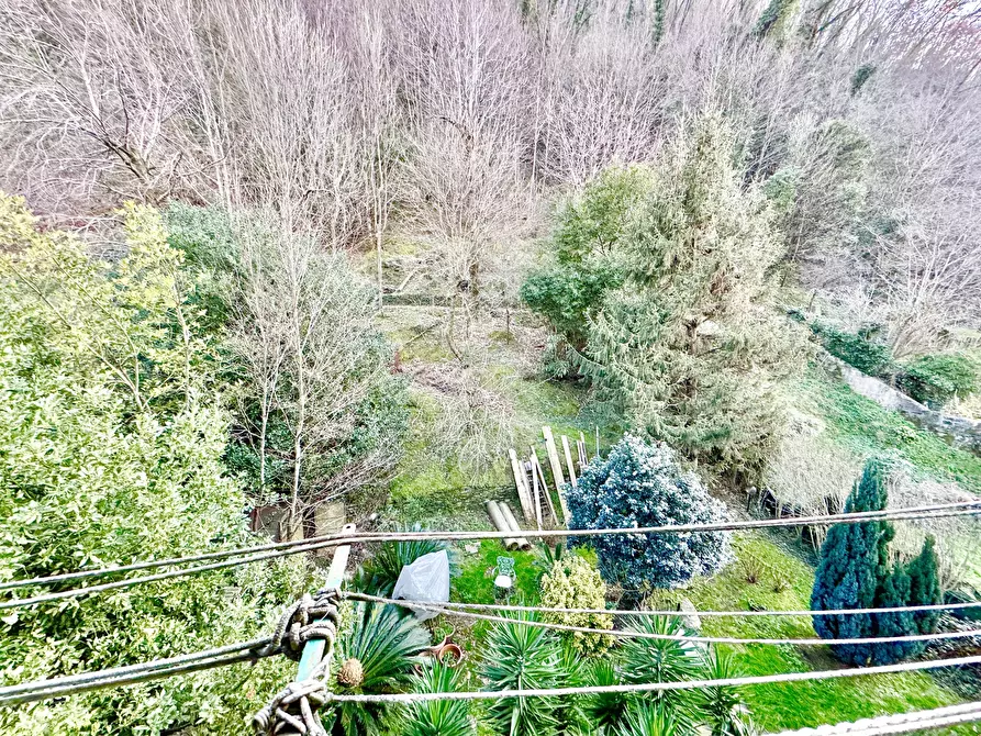 Immagine 12 di Quadrilocale in vendita  a Seravezza