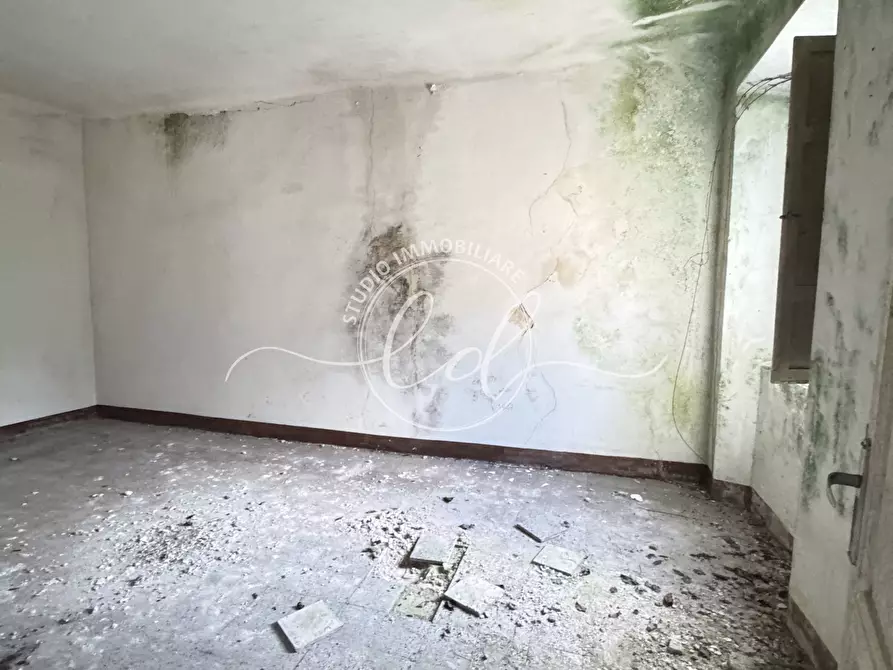 Immagine 22 di Casa indipendente in vendita  a Pietrasanta