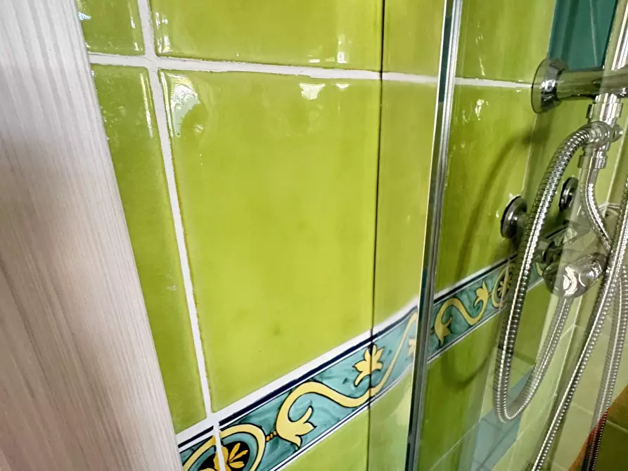 Immagine 48 di Villa in vendita  a Massa