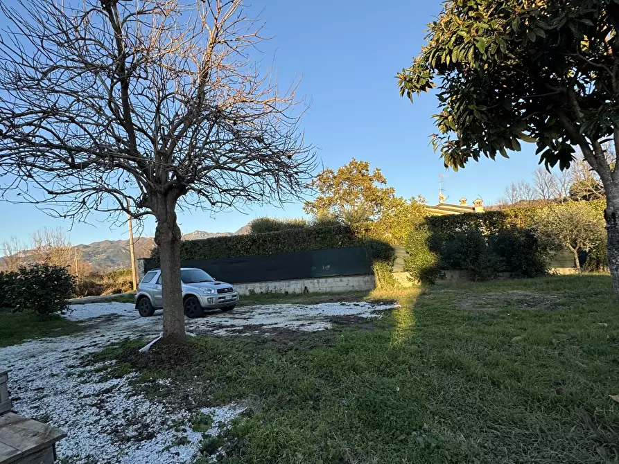 Immagine 36 di Laboratorio in vendita  a Pietrasanta