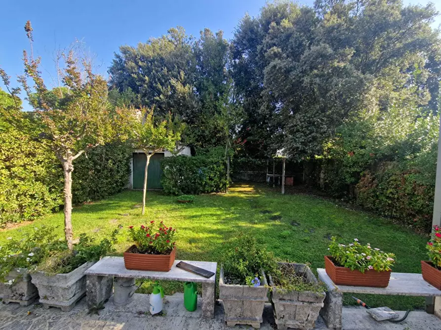 Immagine 5 di Casa indipendente in affitto  a Pietrasanta