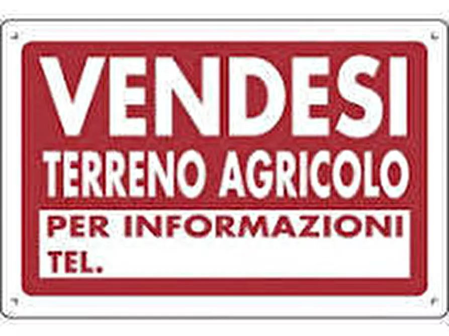 Immagine 1 di Terreno agricolo in vendita  a Pietrasanta