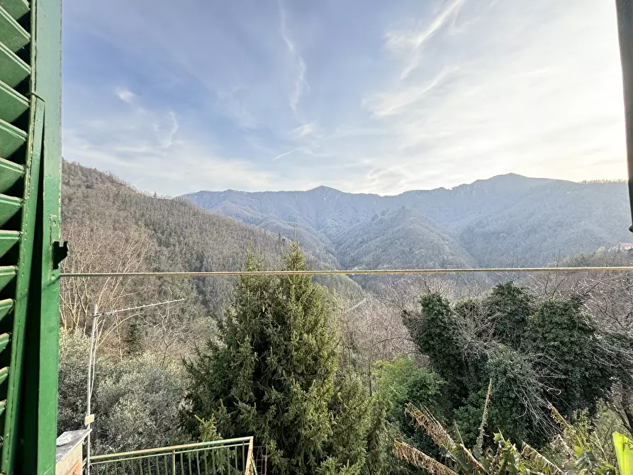 Immagine 25 di Terratetto in vendita  a Stazzema