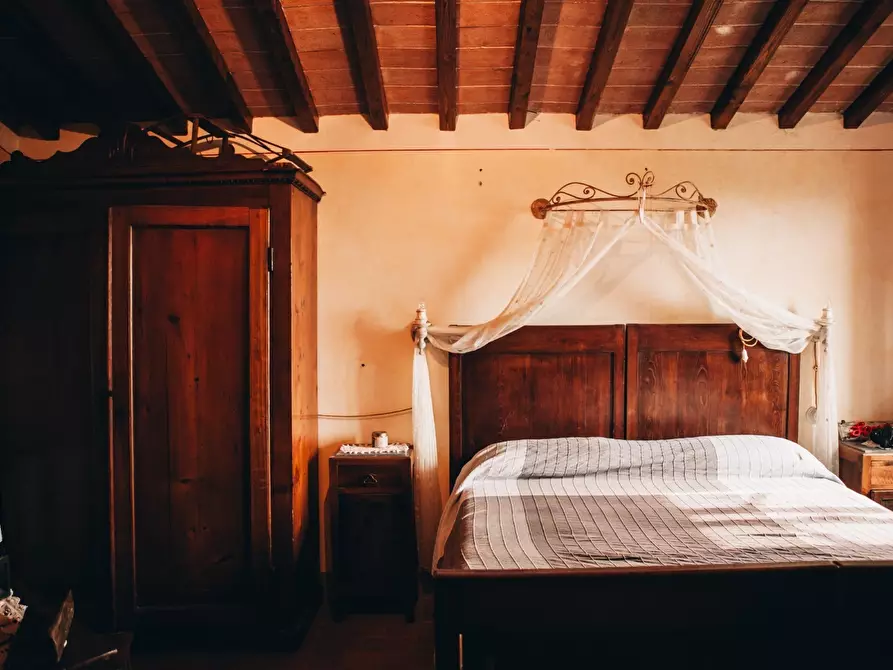 Immagine 24 di Rustico / casale in affitto  a Camaiore