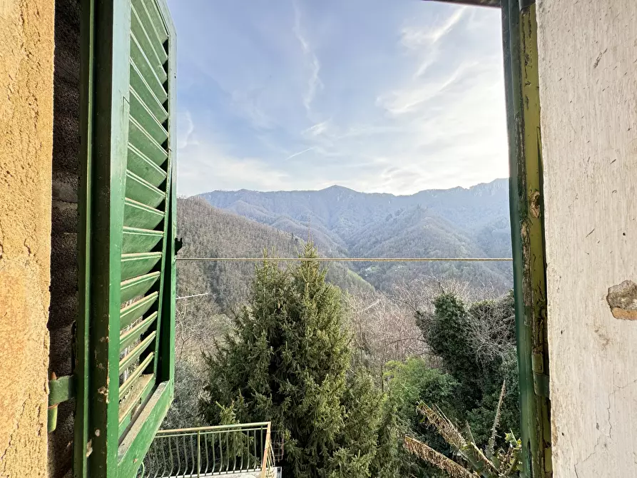 Immagine 26 di Terratetto in vendita  a Stazzema