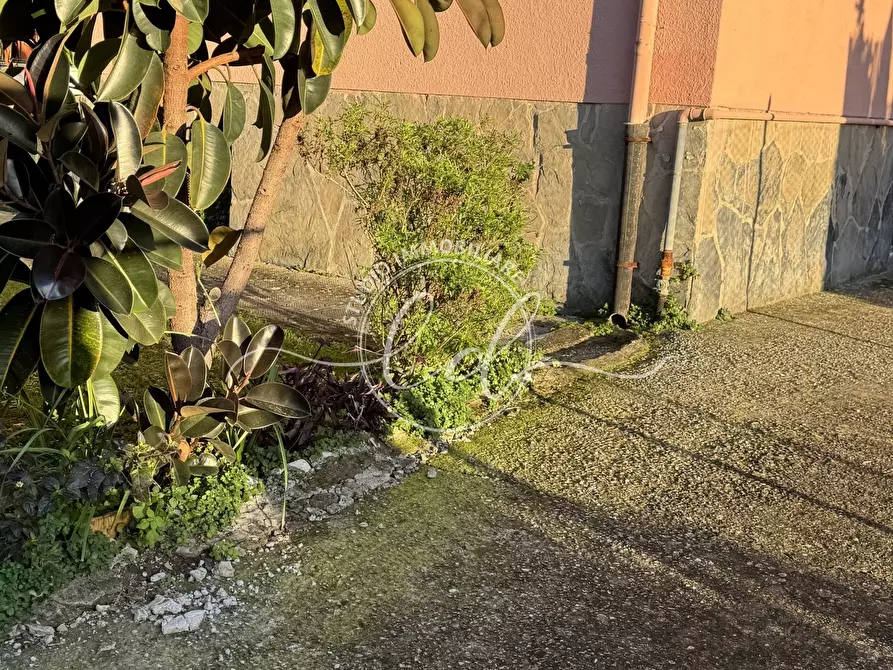 Immagine 51 di Quadrilocale in vendita  a Seravezza