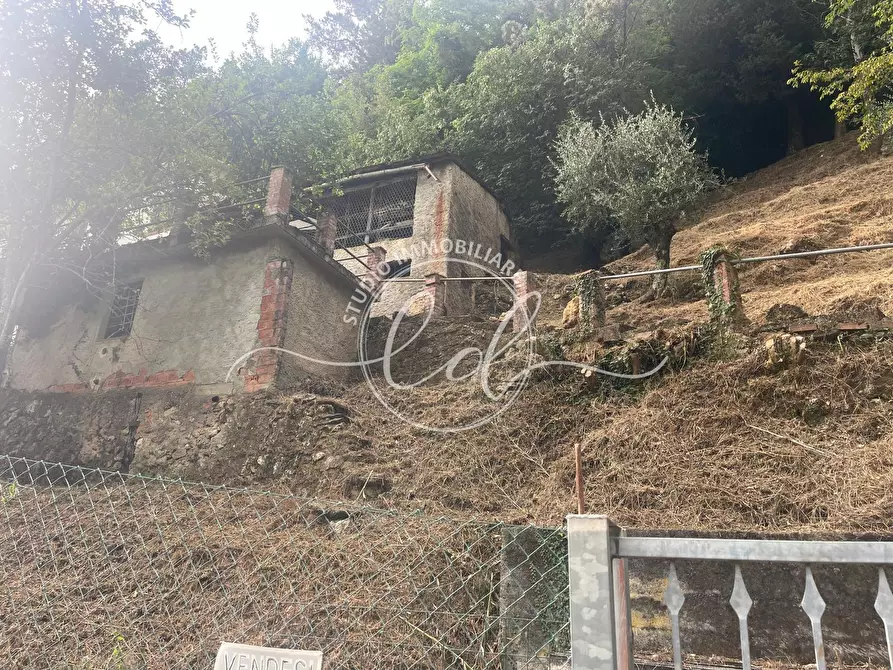 Immagine 3 di Porzione di casa in vendita  a Camaiore