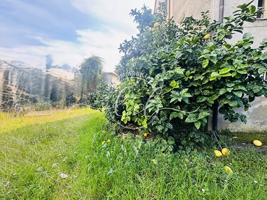 Immagine 15 di Porzione di casa in vendita  a Seravezza