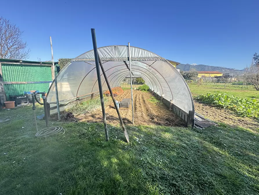 Immagine 11 di Terreno agricolo in vendita  a Pietrasanta
