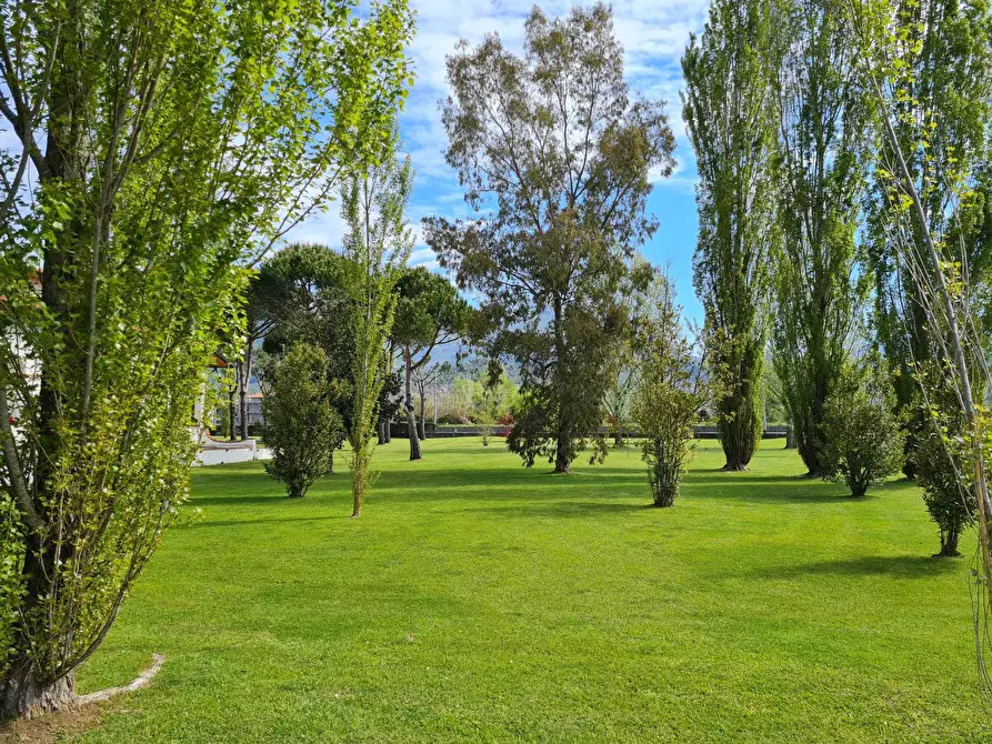 Immagine 28 di Villa in vendita  a Pietrasanta