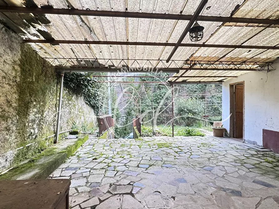 Immagine 11 di Terratetto in vendita  a Pietrasanta