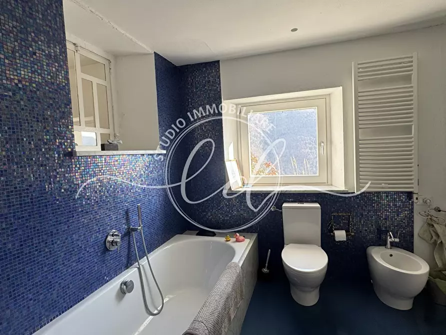 Immagine 36 di Casa indipendente in vendita  a Stazzema