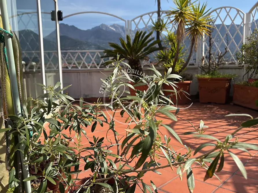 Immagine 4 di Attico in vendita  a Seravezza